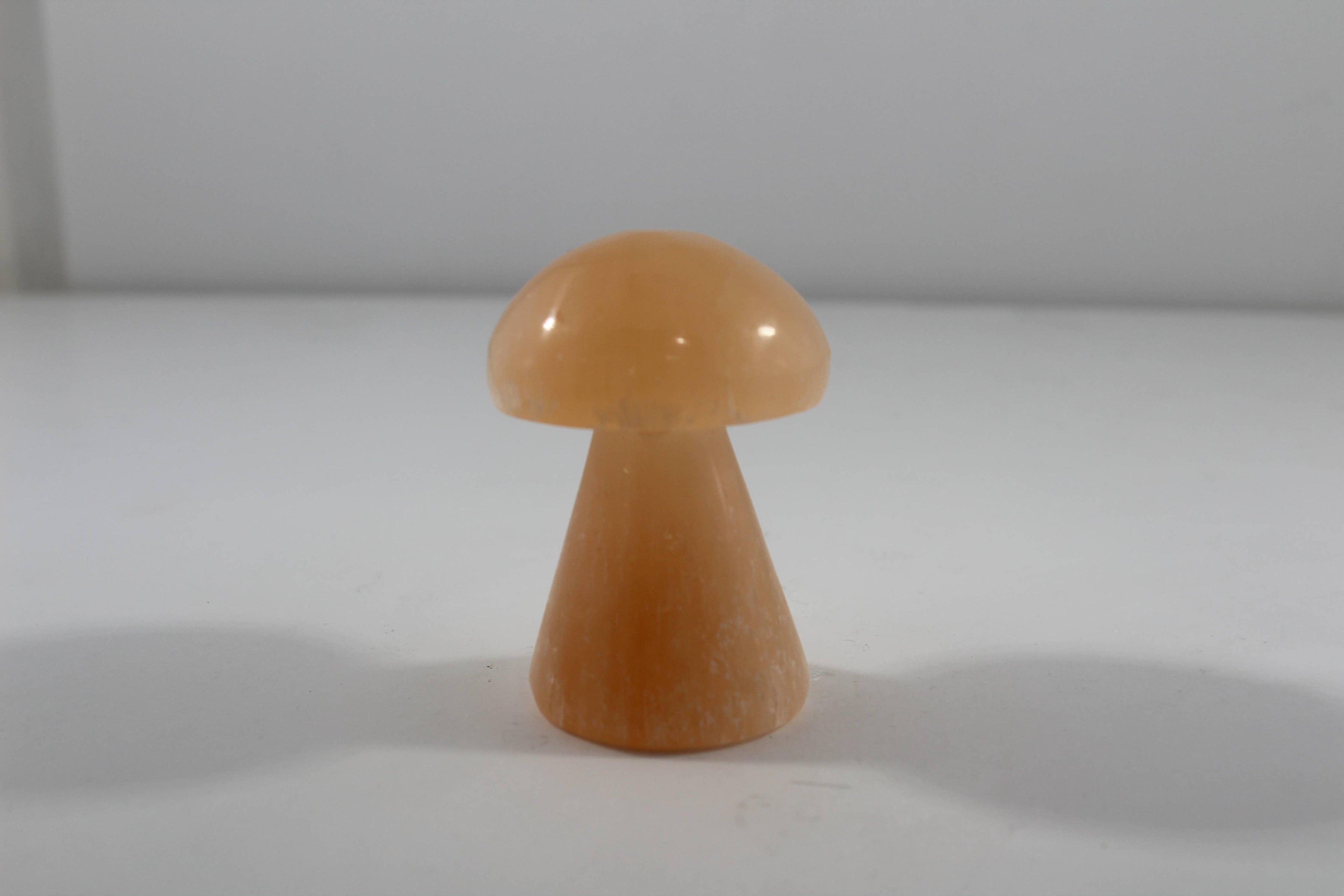 Selenite Mushroom