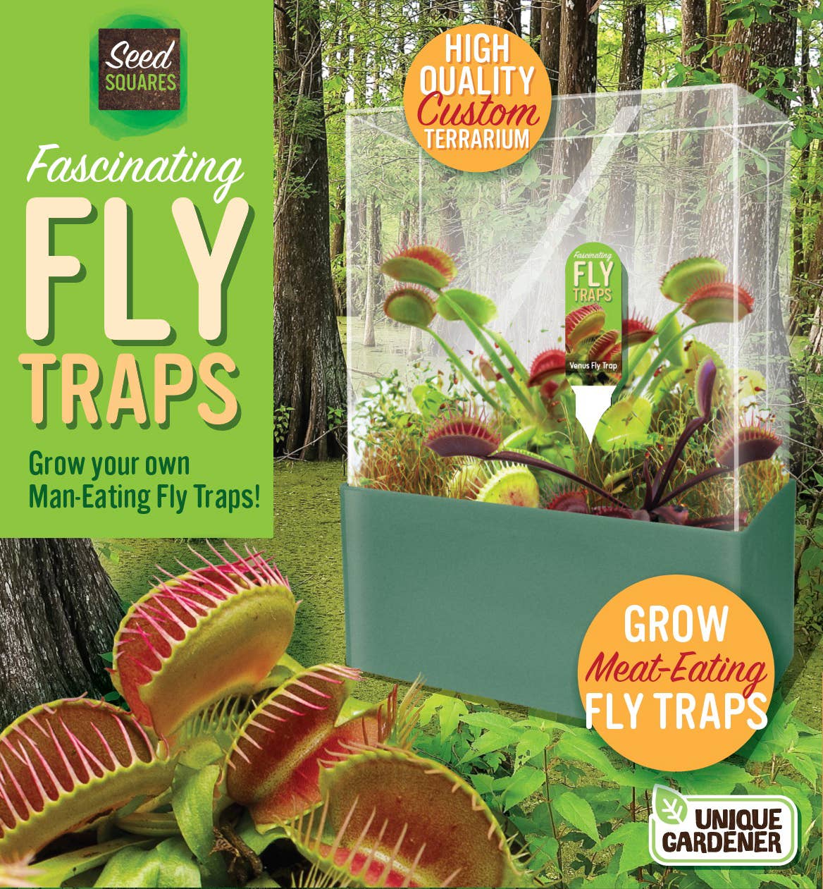 Flytraps Seed Square Terrarium