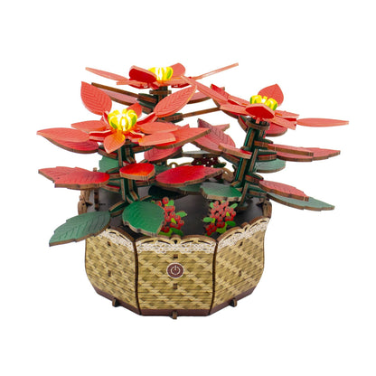 DIY Flower light Kit: Poinsettia