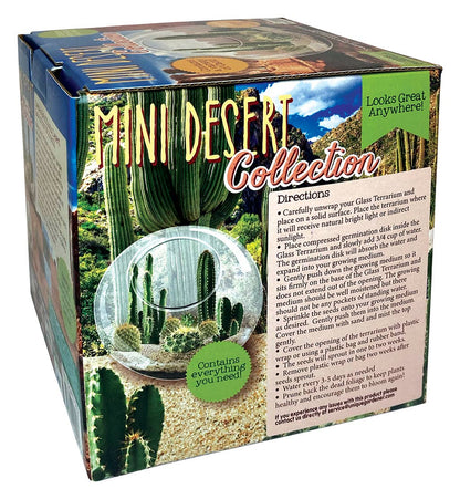 Mini Desert Cacti Kit