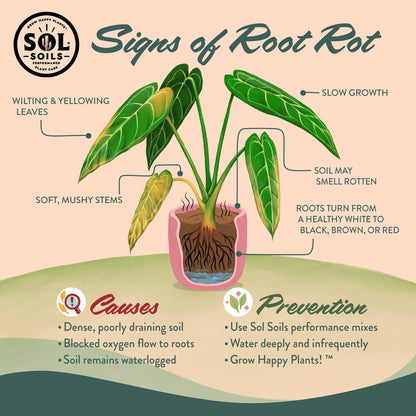 Soil (2Qt) Succulent Gritty Mix