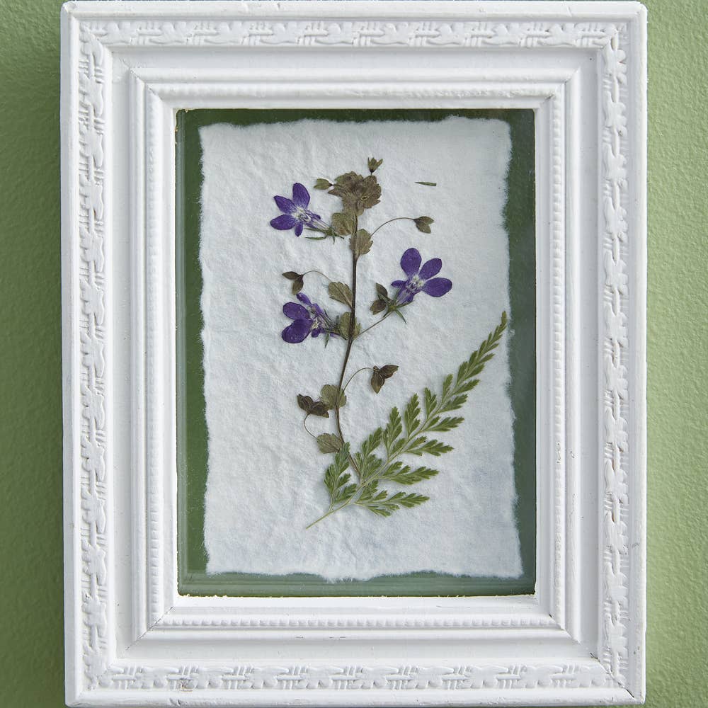 Pressed Violets Wall Decor