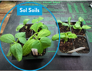 Soil (1Gal) Seedling &amp; Propagation Mix
