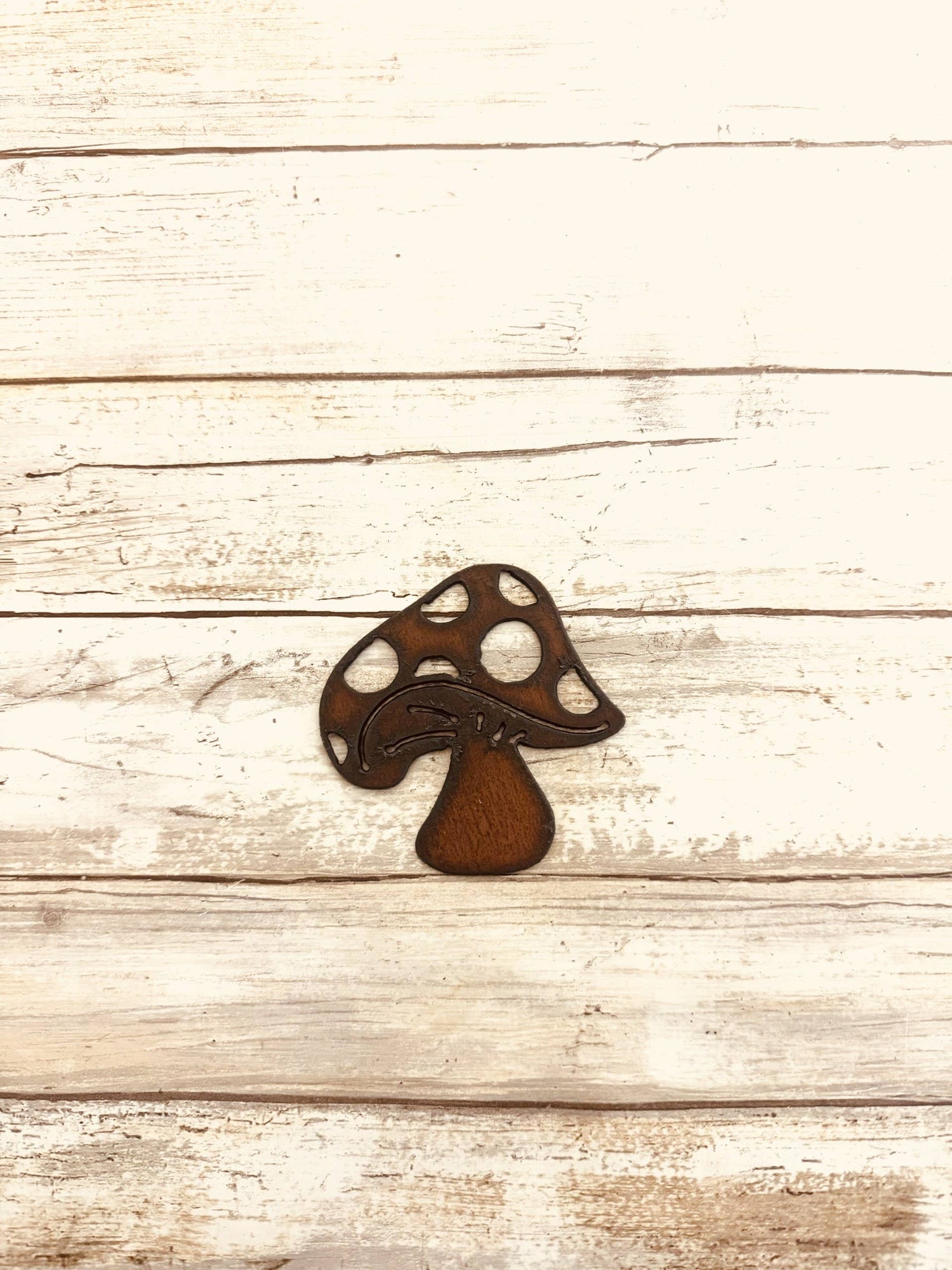 Mushroom Magnet