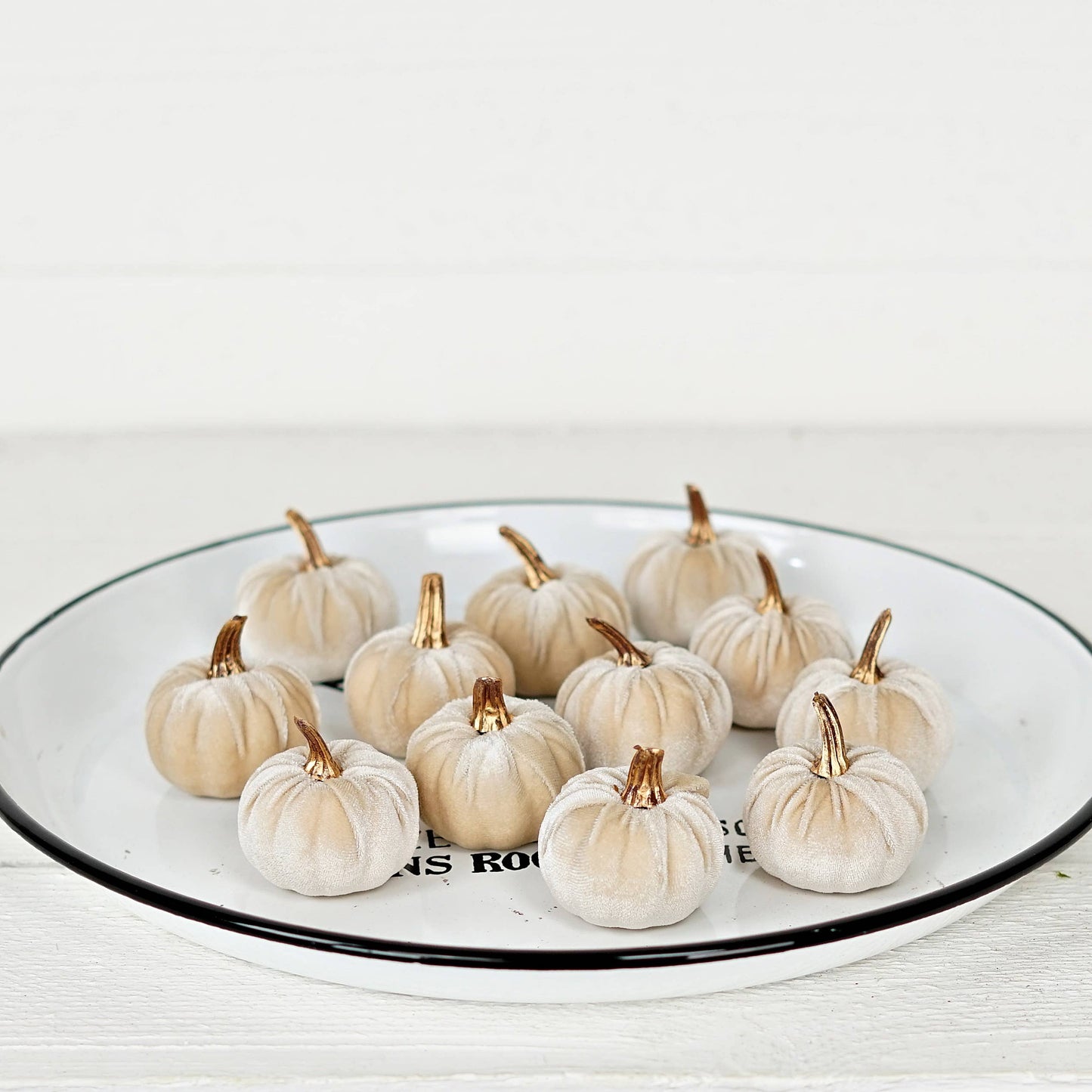 S/6 Beige Velvet Pumpkins
