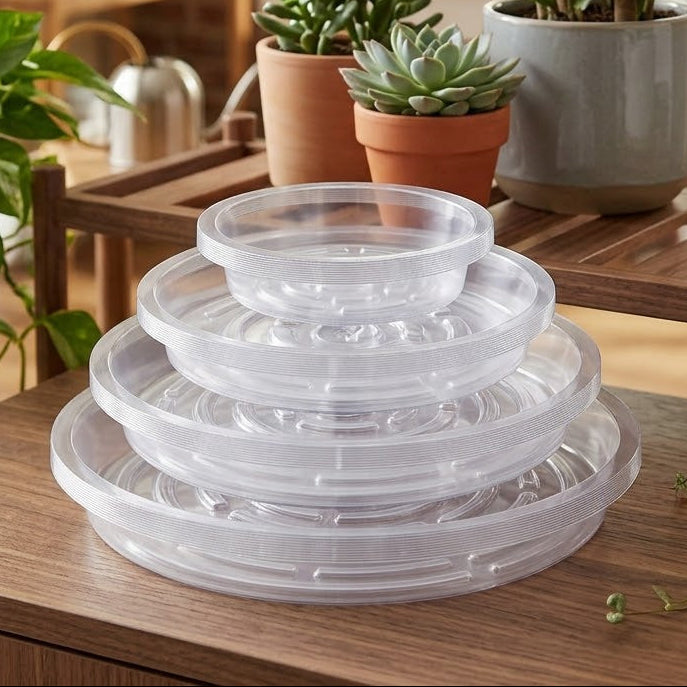 Clear Plant Saucer