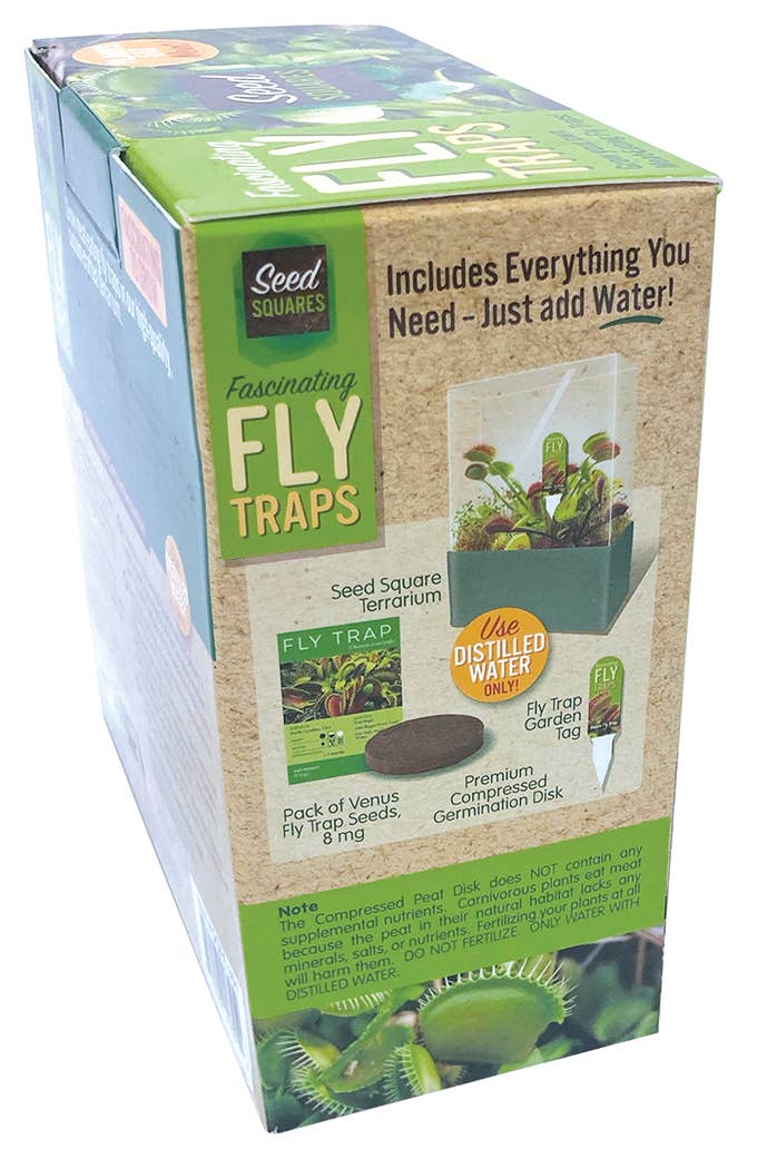 Flytraps Seed Square Terrarium