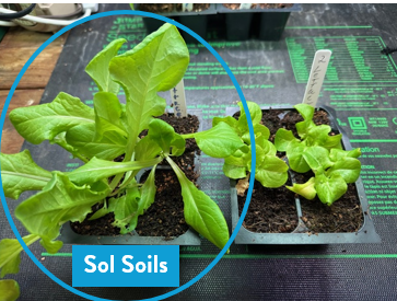 Soil (1Gal) Seedling &amp; Propagation Mix