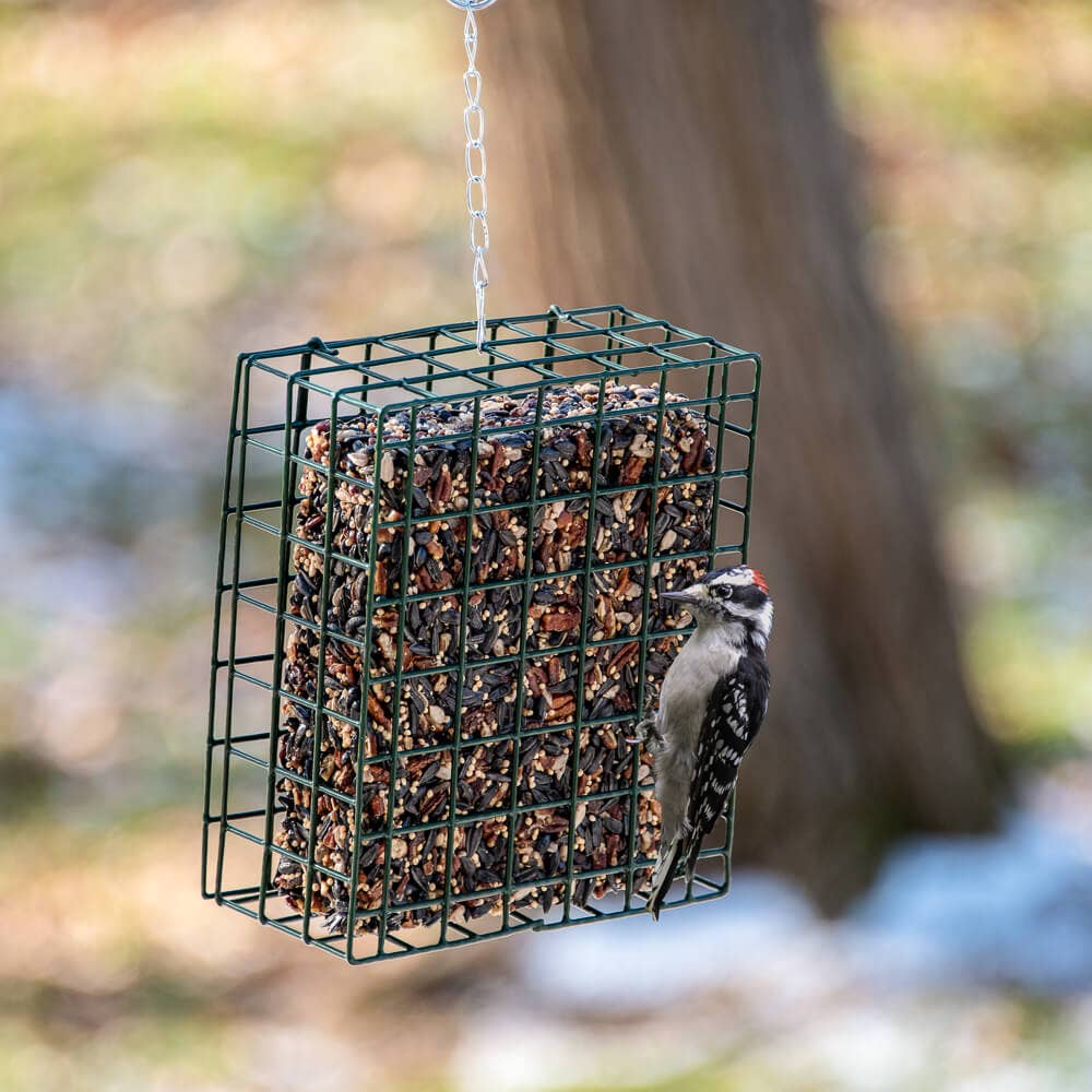 Neat Feeder