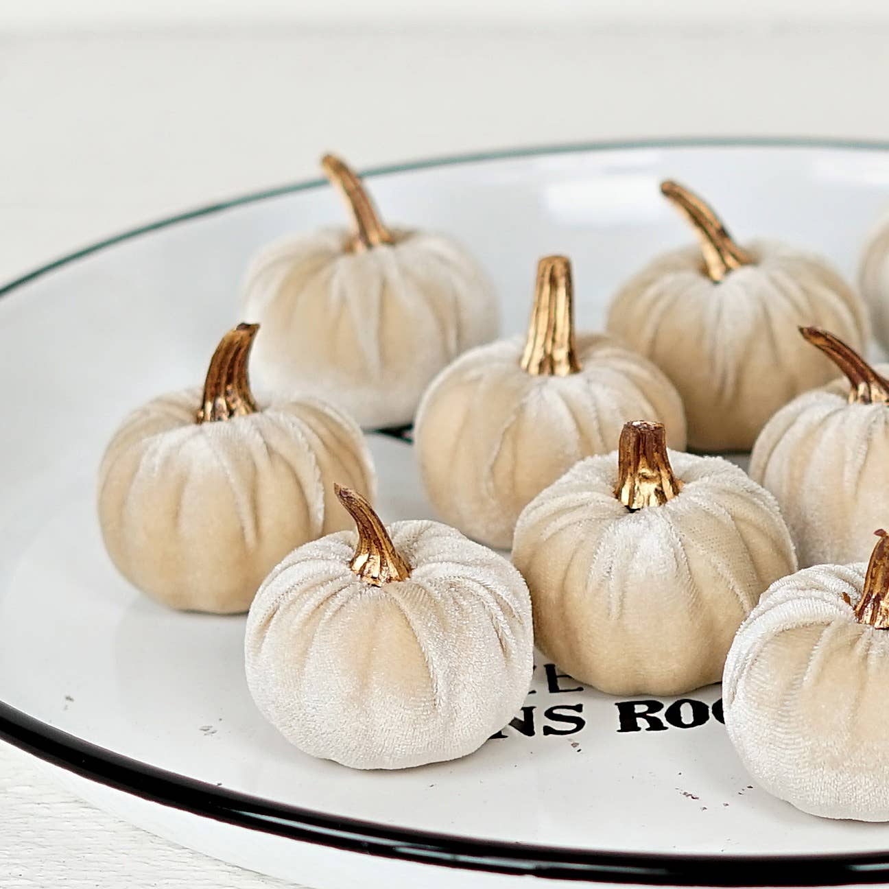 S/6 Beige Velvet Pumpkins