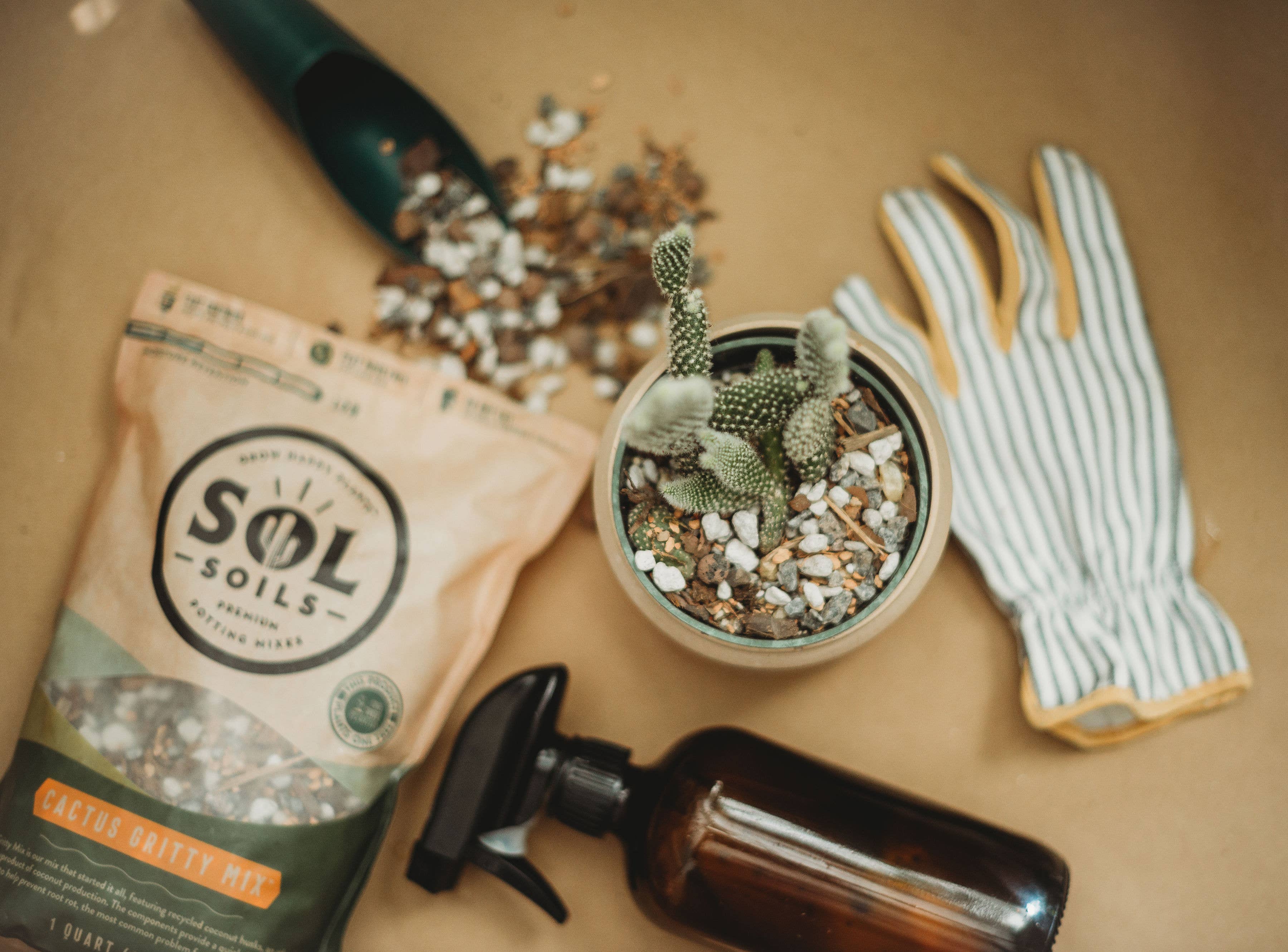 Soil (1Gal) Cactus Gritty Mix
