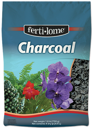 Charcoal