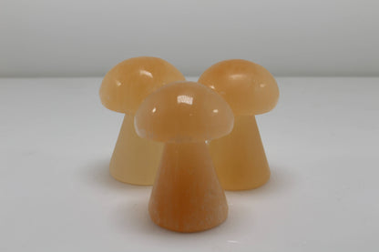 Selenite Mushroom